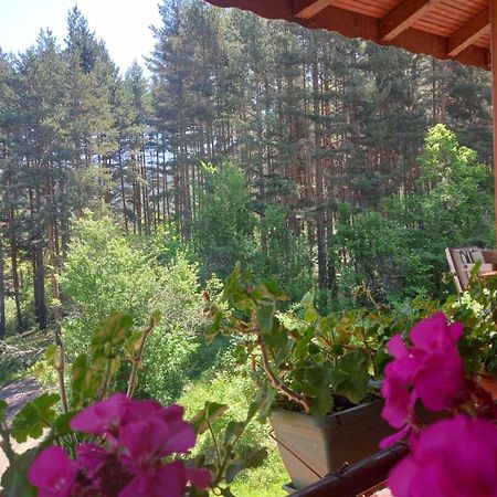 Райчевата Къща - Кюстендил Kyustendil Exterior foto